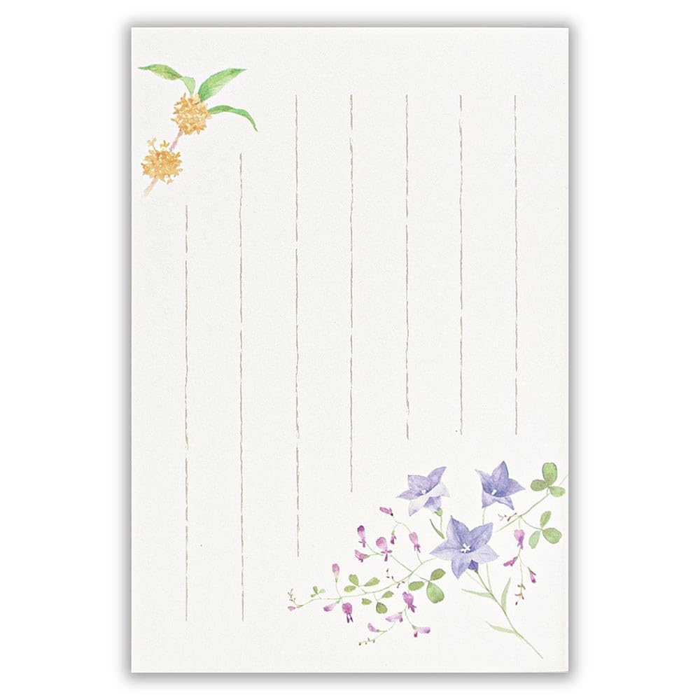 Amazon | はがき【5枚入 縦書き 罫線あり 郵便番号枠あり】秋二